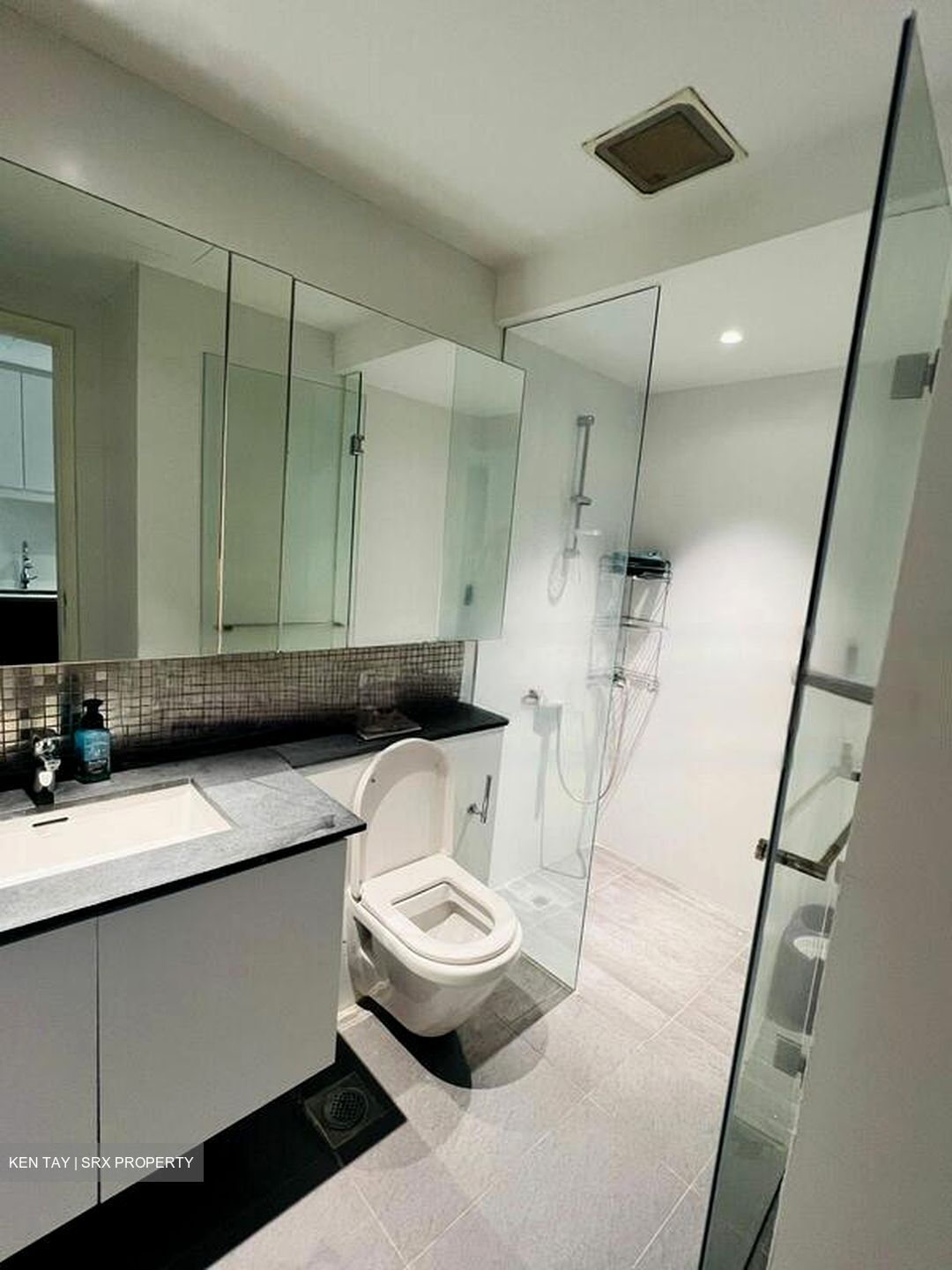 The Minton (D19), Condominium #482322371